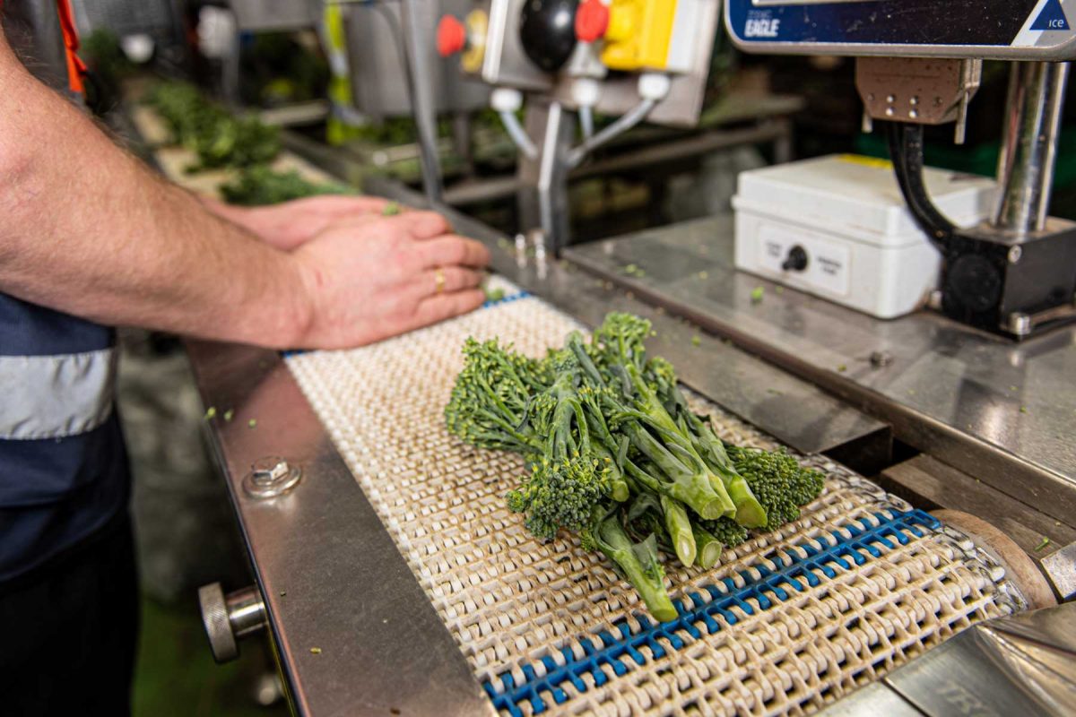 About Us Harper Farming