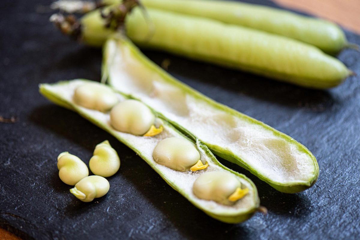 Top Barn Produce Harper Farming